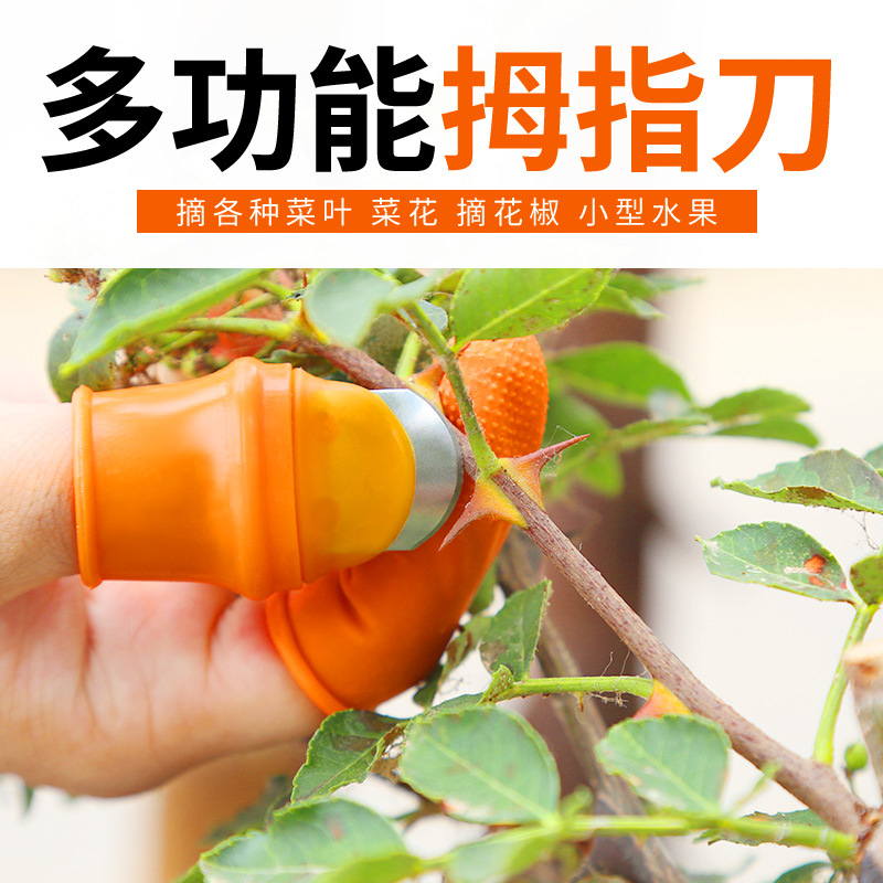 摘花椒工具农用拇指刀掐剪茶叶家用蔬菜采摘指刀多功能果蔬采摘器