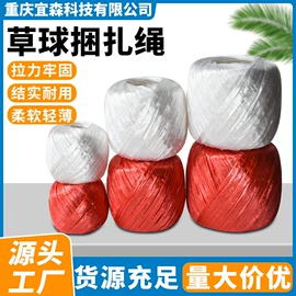 捆绑带;捆扎绳;结束带