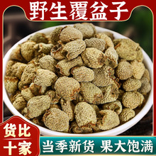 ҰɽݲĹЧ÷ۏӸɻ؛؛