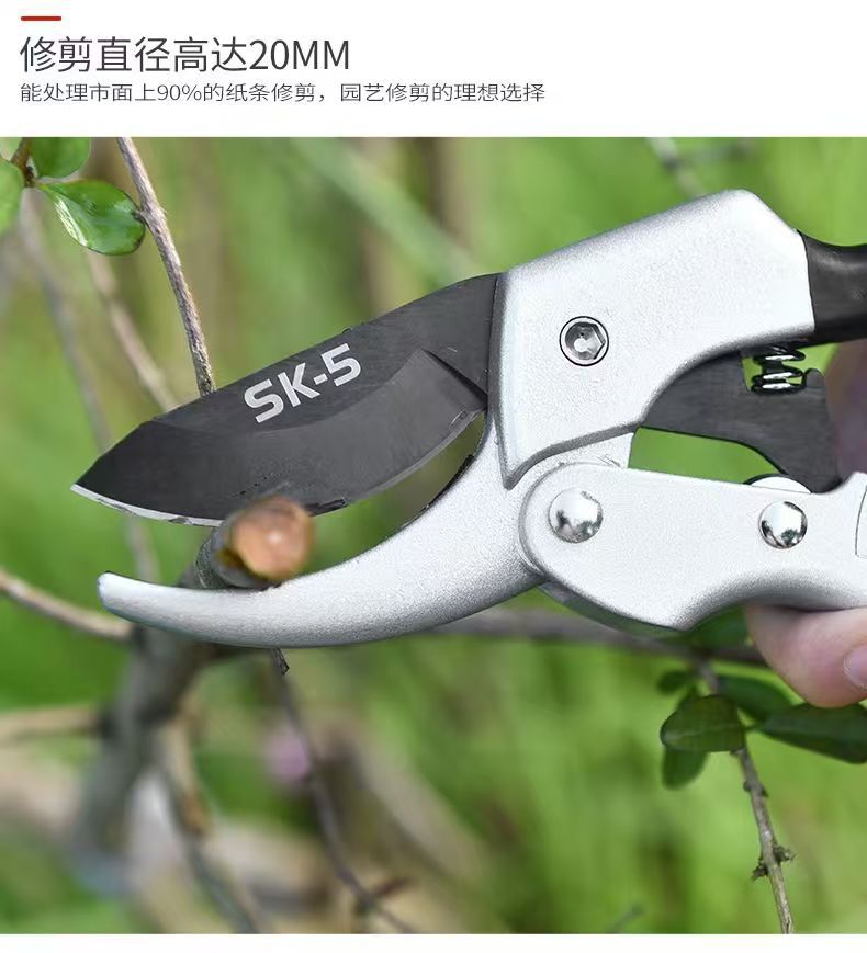 微信图片_20250626153730