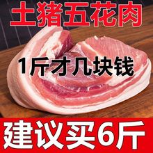 新鲜带皮五花肉现杀散养土猪肉农家生猪肉整箱批发商用