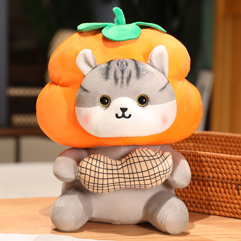 고양이