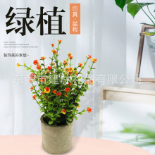 Sֱ Gֲϼٻ kb[С»ɶ