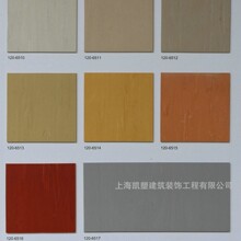 �S��ֱ�N�����120�з���ͬ�|͸��pvc���z�ذ���ĥ�tԺ����