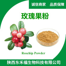 õRosehip PowderҰǾޱˮܷ1kgõ