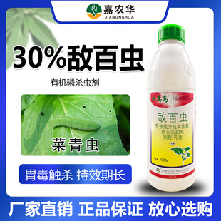 30%�����x��������͚��x�rșʮ�ֻ����߲˲����x�Ͷ��Ͷ����x��