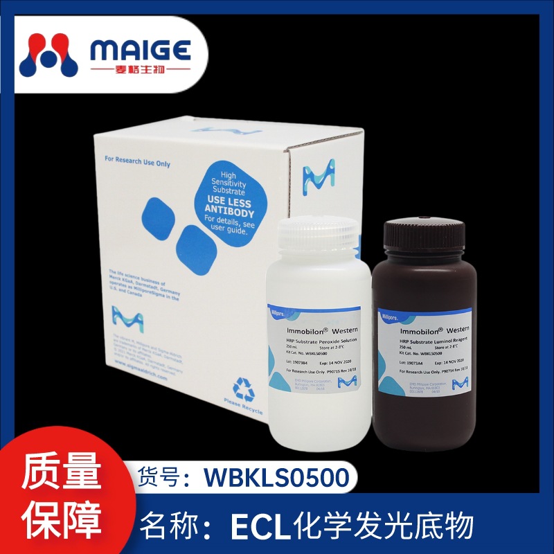 WBKLS0500 ECL化学发光底物 Millipore