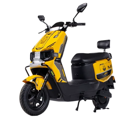Manufacturer Direct Supply Source, Elektrikli motosikletlər