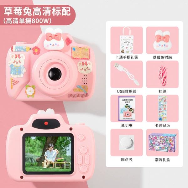 Strawberry, CCTV camera