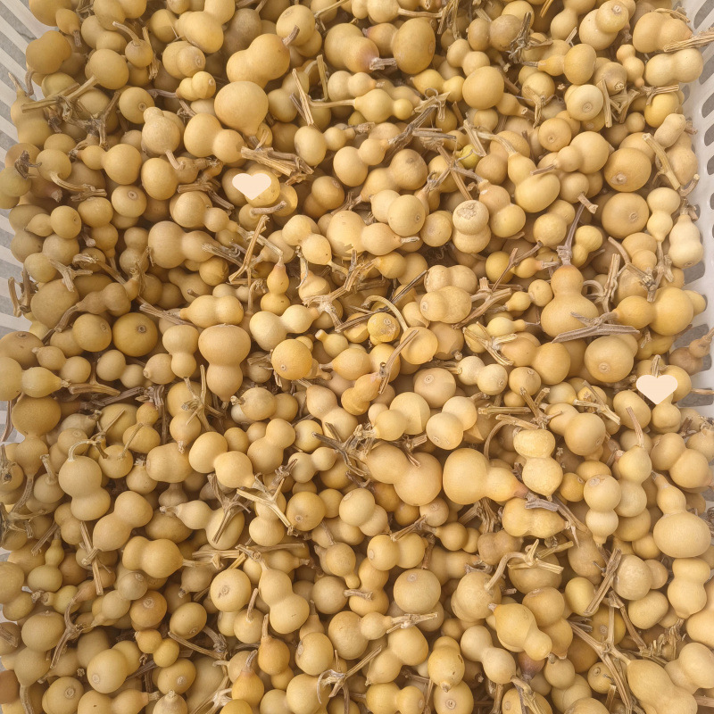 ↬↬↬실제 촬영한 상품 중 일부 불량이 있을 수 있습니다. 3.5 ~ 4.5cm 카오리 골드 100개↫↫↫