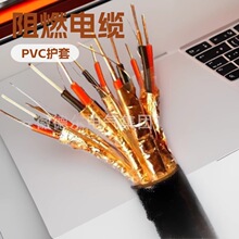 �S���N��늾���|WDZ-IA-DJYP2VP2�~�܏ͺώ����α���Ӌ��C��|