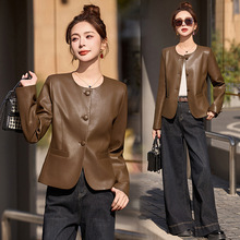 海宁2025春秋款皮衣女短款绵羊皮圆领单排扣松紧腰皮夹克外套