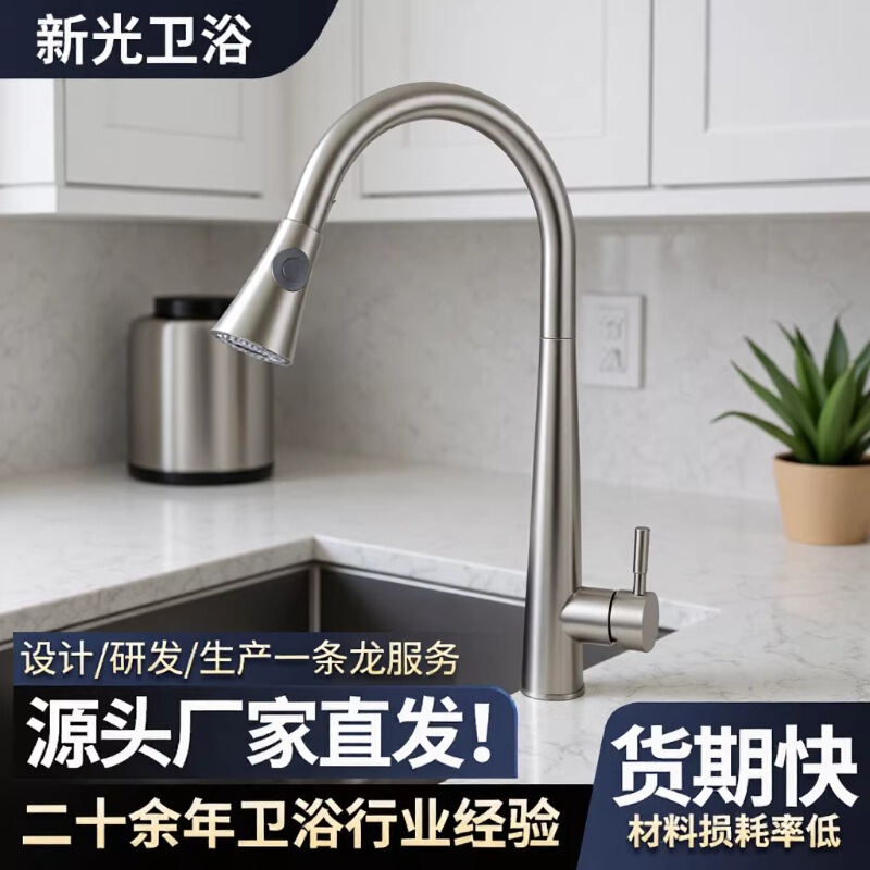 304 Stainless Steel Healthy and Eco-Friendly Single-Control Hot and Cold Dual-Function Pull-Out Kitchen Sink Faucet
