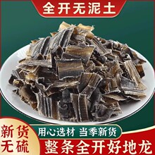 地龙粉 5克中药材正野生广地龙干蚯蚓粉纯地龙粉干地龙粉包