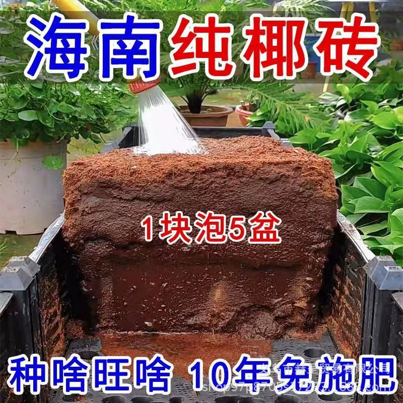 Высокопузырьковой кокосовый кирпич питательная почва сжатые кокосовые отруби опреснены