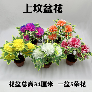 �������ω��軨 ʮ��һ�ω����� �����辰��仨������Ʒ