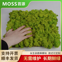 ��������̦�\�Z¹̦�\������°װl�\������ȼ¹���\����̦�Gֲ��