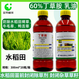 ���60%���ݰ�ˮ����ǰ���]���݄����]�s�ݲ���������rș���݄�