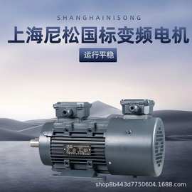 上海尼松变频国标电机具体价格咨询客服