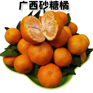 �V��ɰ������������ɳ�ǽ��۸̬Fժ����ˮ�����~���l���]5������