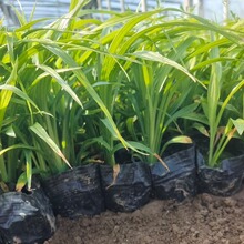 ����� �ļ�����ݱ�ֲ�� ���@С�^�@�ֹ��̾G���� ���ݻ������l