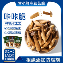 ¹׹Ƭ¶㹽ཷ}ζ߸rɼʳ㹽