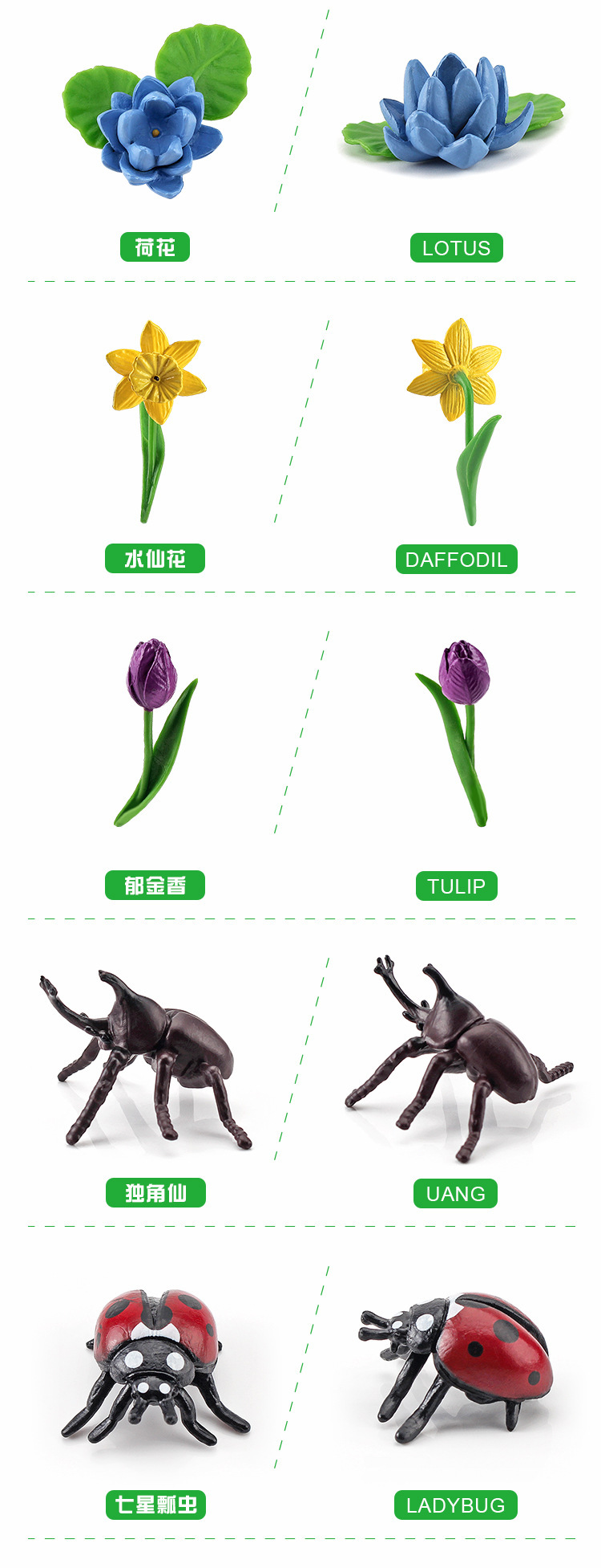 20220728_144737_002.jpg