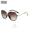 Fashionable sunglasses, sun protection cream, new collection, European style, UF-protection, 2021 collection