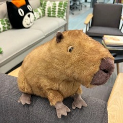 オリジナルのカピバラのぬいぐるみは、子供の可愛いネットのプレゼントをなだめるイギリスの人形の可愛い人形です。