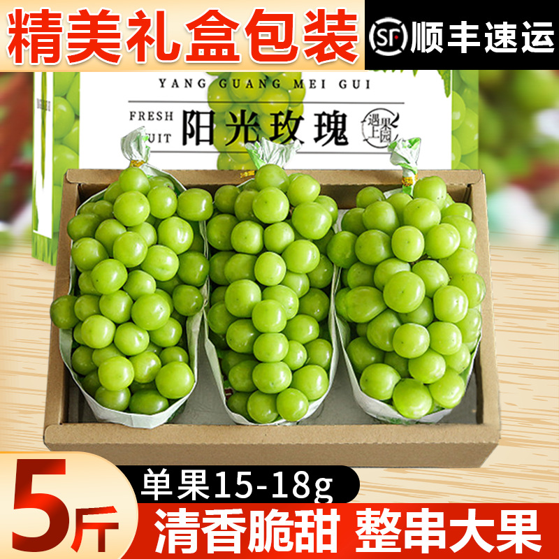 Shine muscat seedless grapes fresh 5 jin fruits Qing Wang seasonal green grapes Hanakotoba gift box SF express included