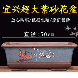 花盆长方盆景盆君子兰陶瓷花盆盆景花盆方形花盆室内花盆