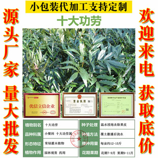 ��ʮ�󹦄ڡ�����Ұ�����Sɏ�ļ����Gș�����ԷN���Ϙ������