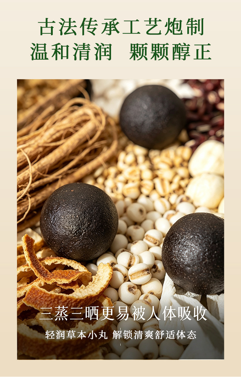 Wu Zhi Mao Tao Chen Pi Fu Ling Yi Ren Shan Yao Wan — Herbal Wellness Pills with Five-Leaf Ginseng, Tangerine Peel, Poria & Chinese Yam quality and texture