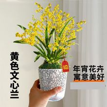 ���� ���໨�� �S��ɫ�����m��ˮ �����_���������҃Ȏ������m��