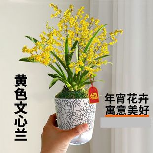 ���� ���໨�� �S��ɫ�����m��ˮ �����_���������҃Ȏ������m��