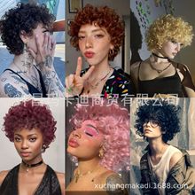 ��ɫ�ٰlŮ �űȷۼٰl ��ɫ��ë���̰l �W�t����̾��l �F؛���l