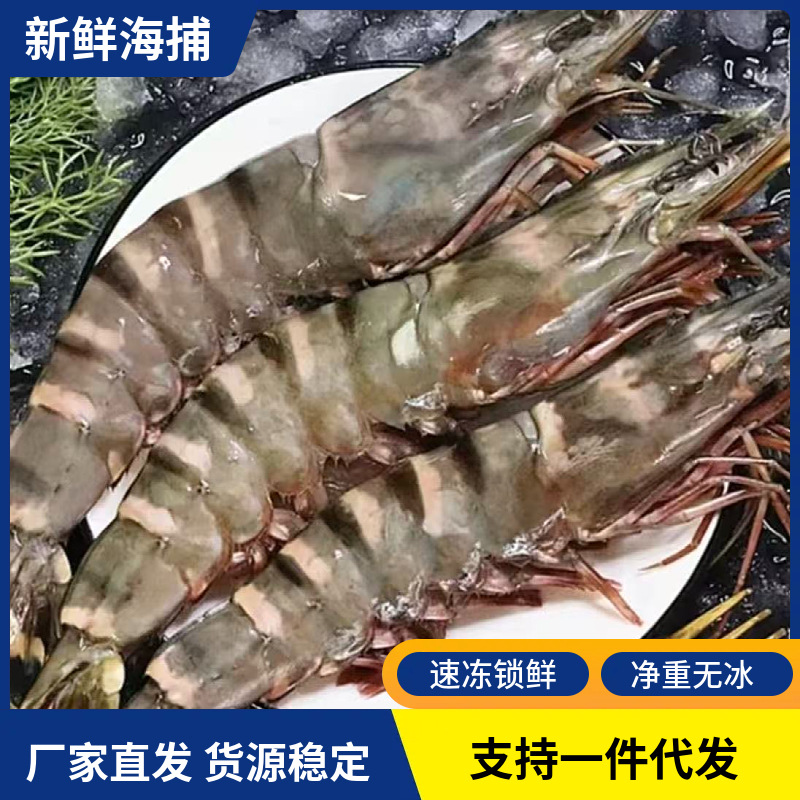 黑虎虾新鲜冷冻老虎虾鲜活速冻大号黑虎虾斑节虾商用海鲜水产批发