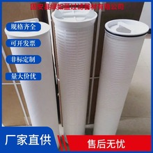 PP折叠滤芯保安精密过滤器 PP water stainless steel filter