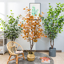 ���Wins�L����Gֲ���滨������ؿ͏d�������Ԕ[����ֲ���ȼ���