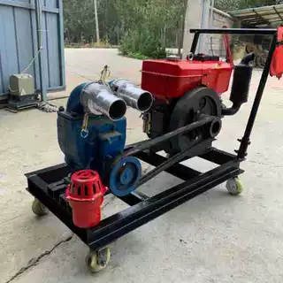 3寸4寸化粪池污水泵 鸡粪鸭粪养殖场用抽粪泵