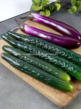 �����ˮ���߲�ģ��ܛ�z��С�����S�����ӵ�䁏N���b[�����S��