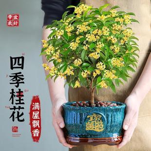 �ؼ������Ϙ��ļ������Ԙ����_����ʳ��ֲ���҃��⻨�ܝ�����B