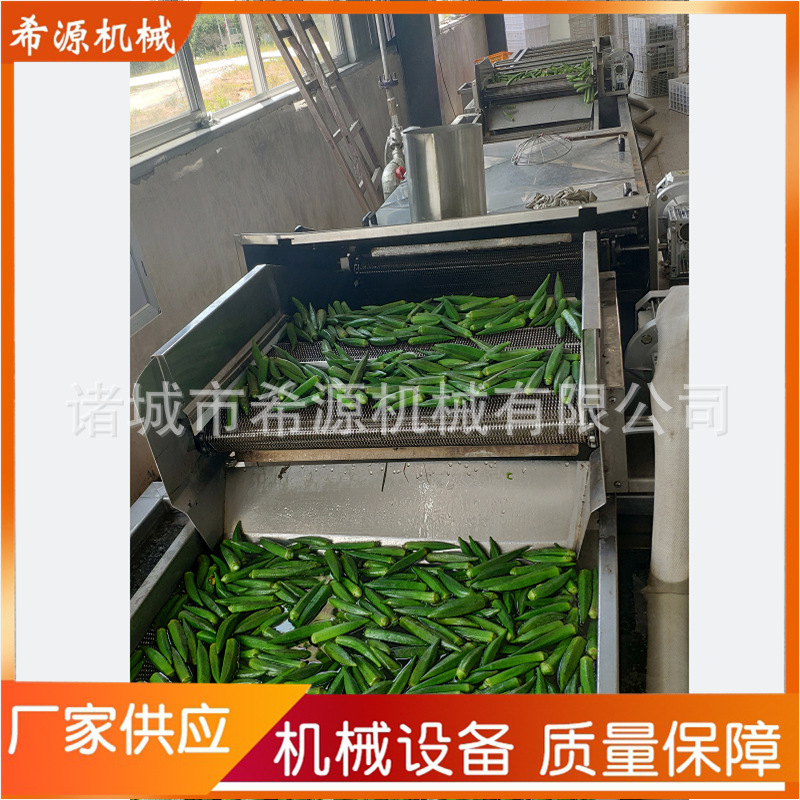 新品秋葵清洗漂烫流水线 秋葵鼓泡清洗机 果蔬气泡清洗生产线