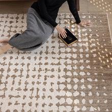 家用客厅地毯防水可擦免洗意式轻奢地垫房间卧室高颜值耐脏易打理