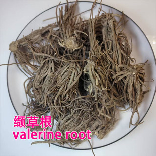 �i�ݸ�ɢ�b�i��؈��� valerine root �i�ݲ��i�ݸ�ԭ�����i�ݸ�