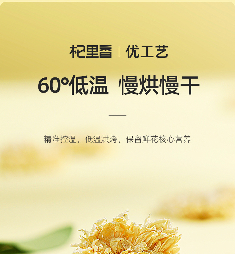 Huangshan Gongju White Chrysanthemum Flower Tea 25g Jar Dried Chrysanthemum for Daily Herbal Tea quality and texture