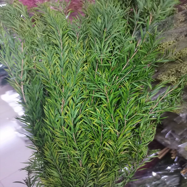 Porn yellow -green