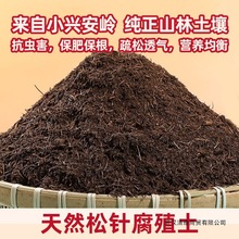 �¼����Ը�Ҷ��ֳ�����촿��Ҷ����ž������Ӫ����������Ȼ�л�