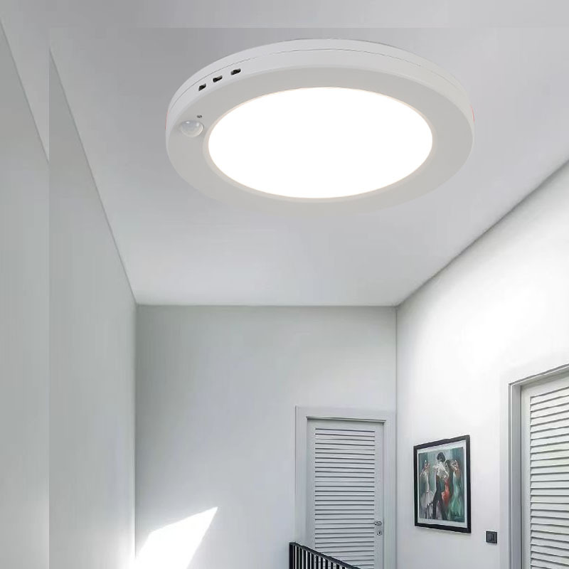 可调感应吸顶灯