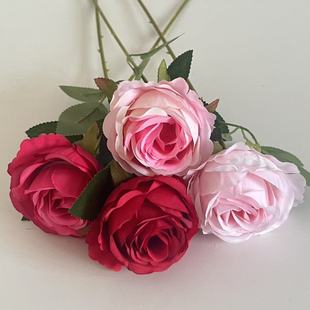 ѩɽõ����滨 ��c��Y�ò�������ٻ� �Ƶ�ܛ�b�仨��Y����